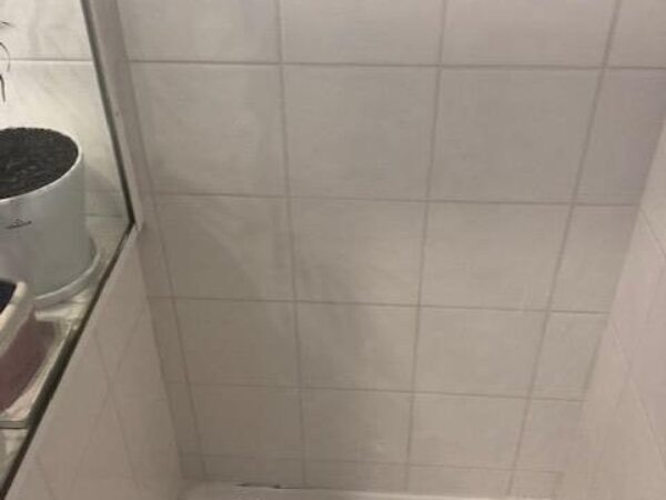 Shower Grout & Silicone Replacement and Shower Restoration