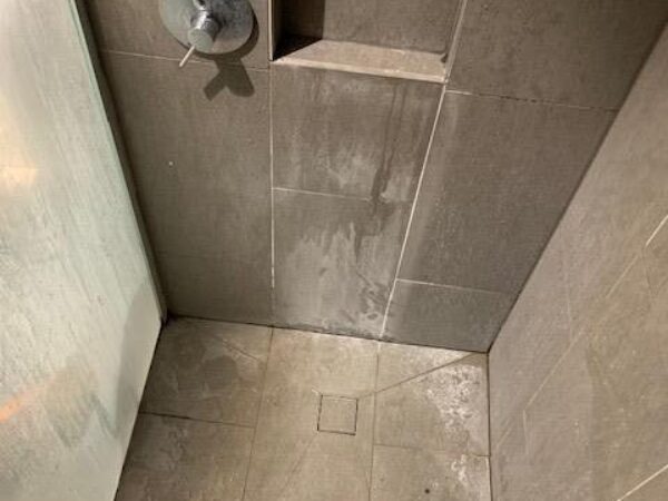 Shower Cleaning Job