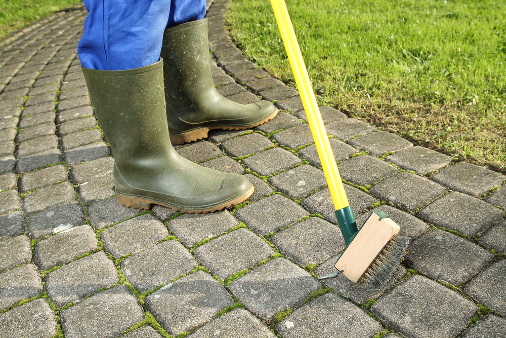 Path Cleaning