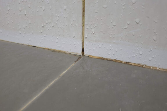 Shower Mould Removal Melbourne