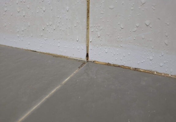 Shower Mould Removal Melbourne